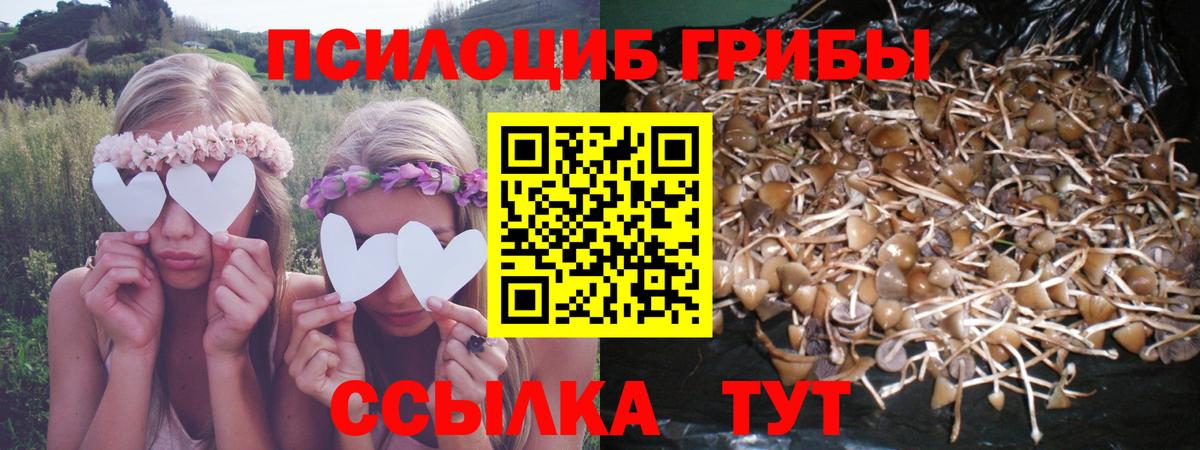 Галлюциногенные грибы Magic Shrooms Нягань